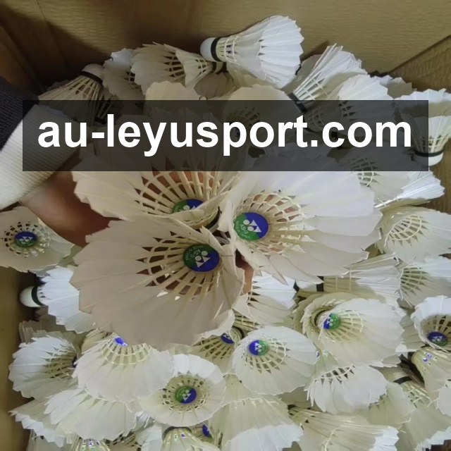 下载<strong>乐鱼体育</strong>App 二维码